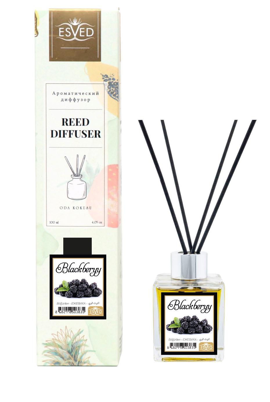 Böğürtlen Kokusu 100 Ml Çubuklu Oda Kokusu Yedek Dolum Şişesi Hediyeli