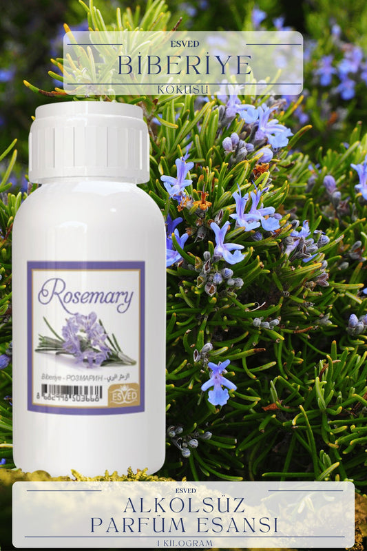 Biberiye Kokusu Toptan Parfüm Esansı 1 Kilogram