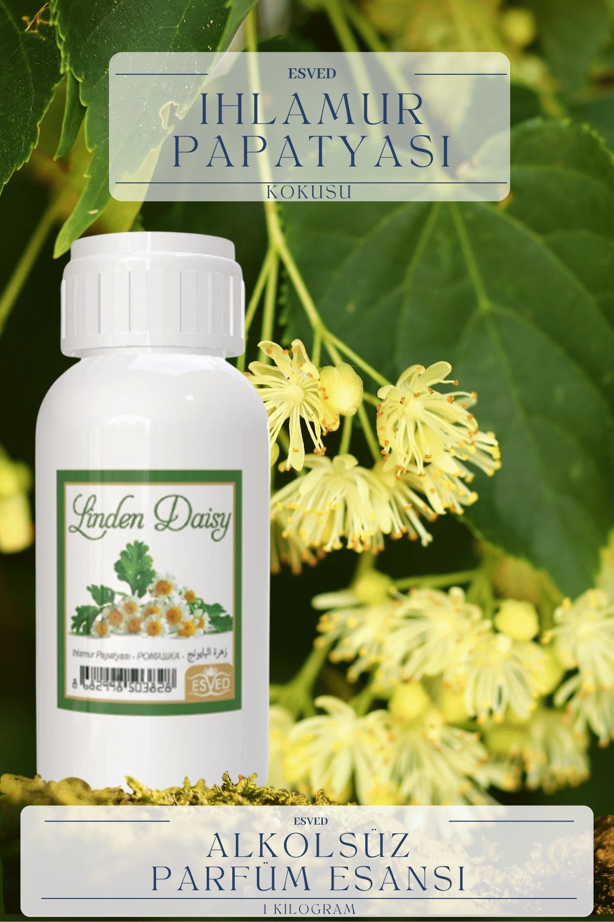 Linden Flower Scent Wholesale Perfume Essence 1 Kilogram