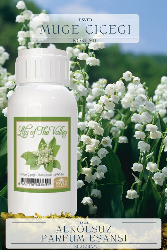 Müğe Çiçeği Kokusu  Toptan Parfüm Esansı 1 Kilogram
