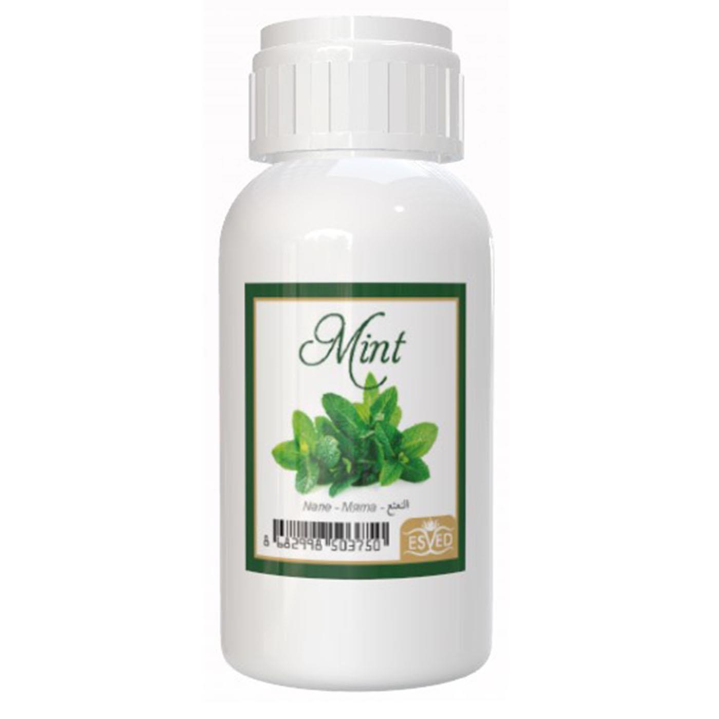 Nane Kokusu 100 Ml Çubuklu Oda Kokusu Yedek Dolum Şişesi Hediyeli