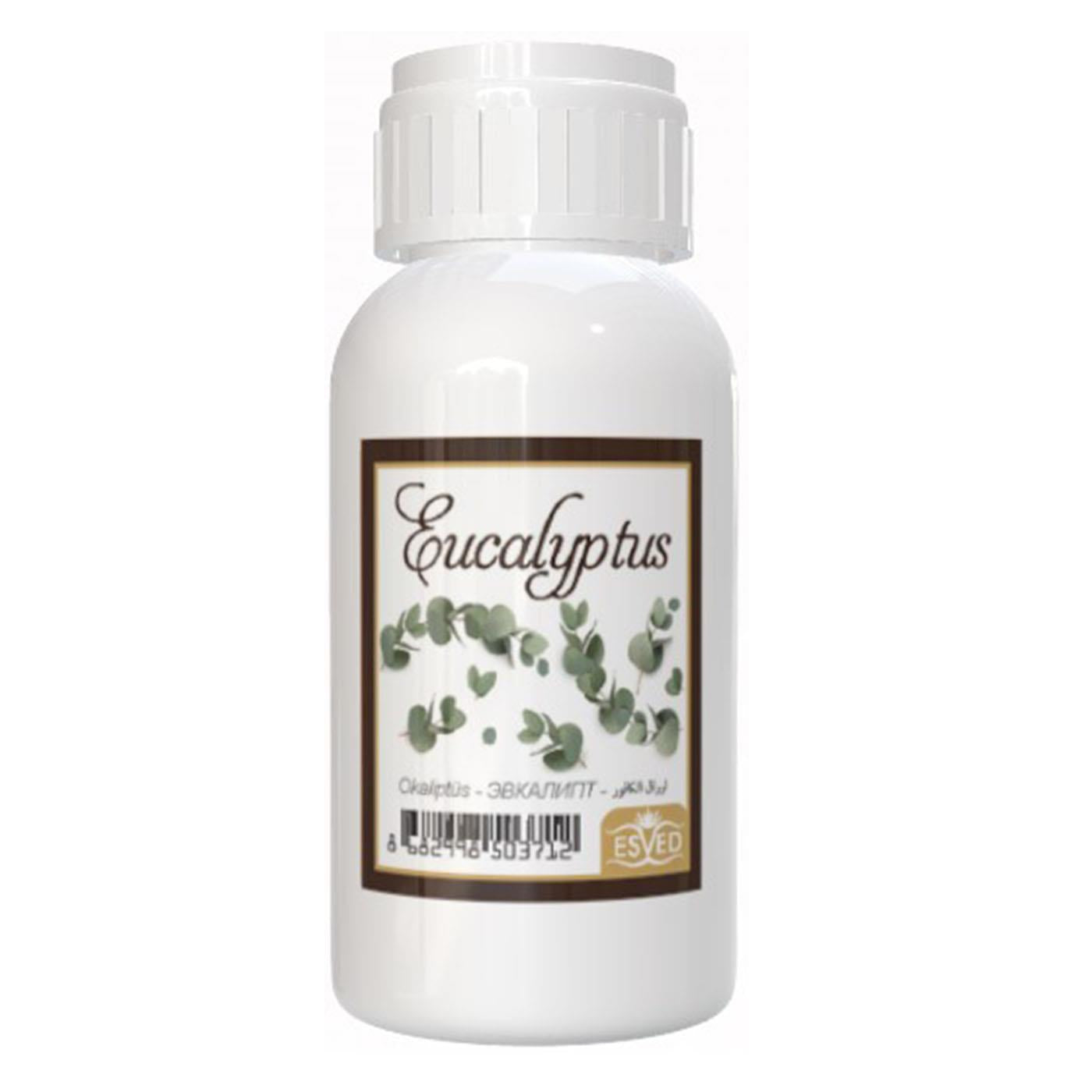 Okaliptüs Kokusu 100 Ml Çubuklu Oda Kokusu Yedek Dolum Şişesi Hediyeli