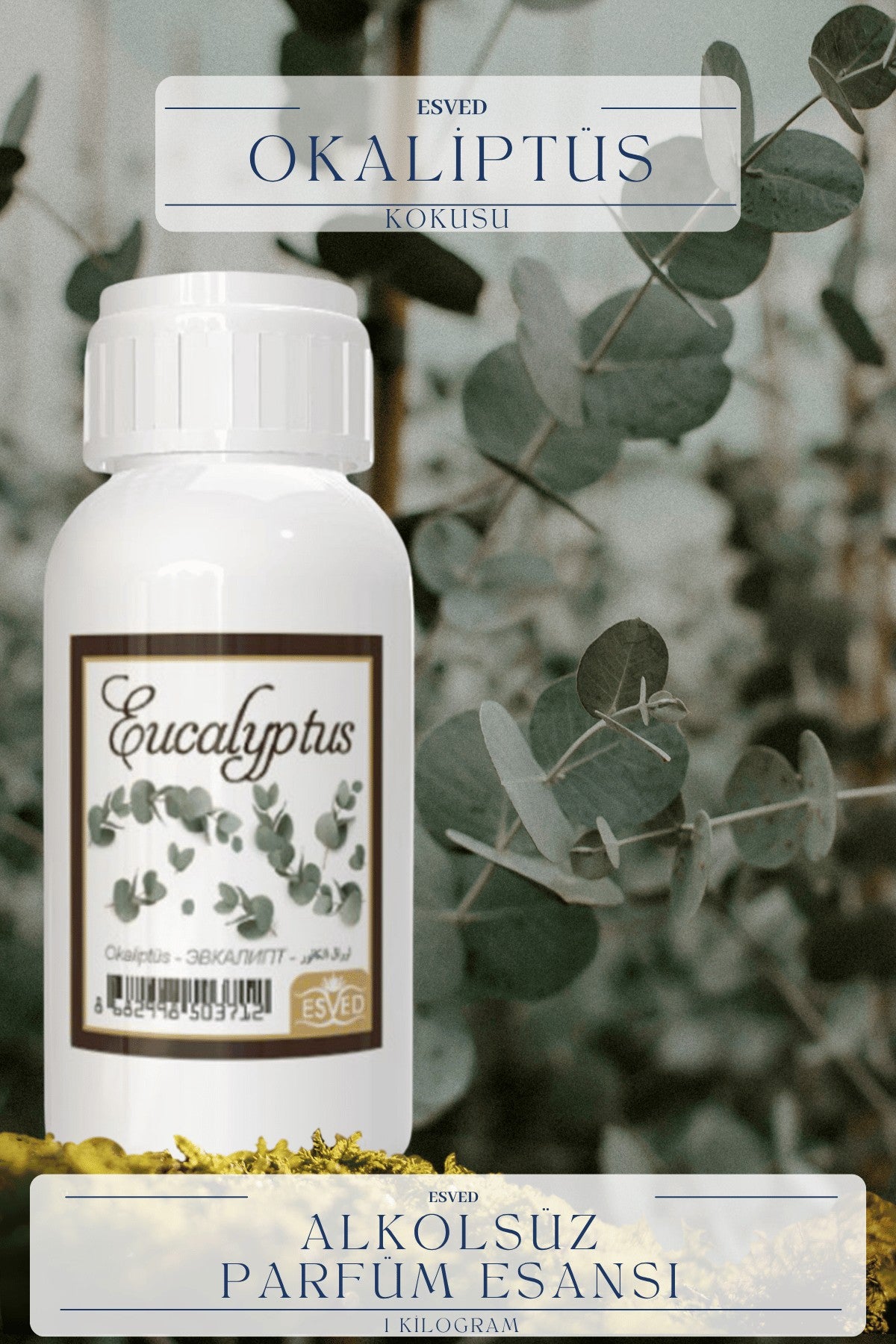 Okaliptus Kokusu  Toptan Parfüm Esansı 1 Kilogram