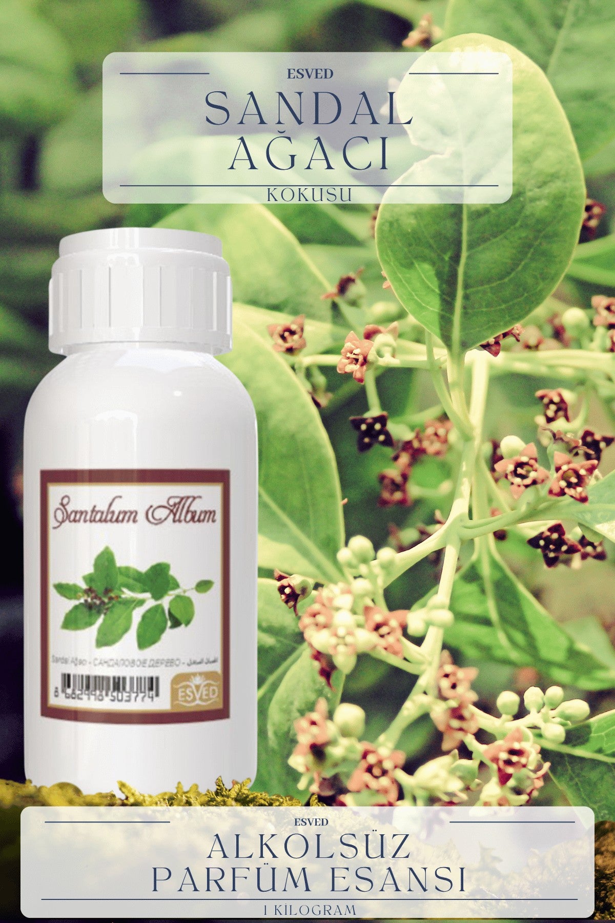 Sandal Ağacı Kokusu  Toptan Parfüm Esansı 1 Kilogram