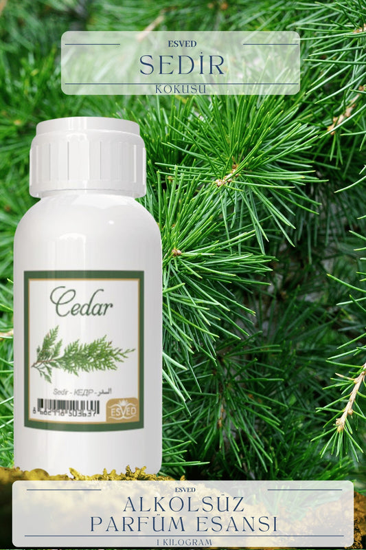 Sedir Kokusu  Toptan Parfüm Esansı 1 Kilogram