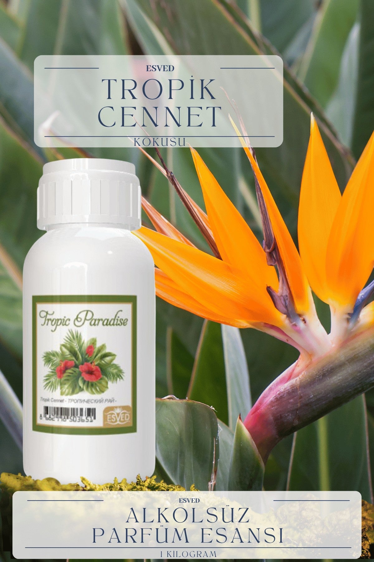 Tropik Cennet Kokusu  Toptan Parfüm Esansı 1 Kilogram